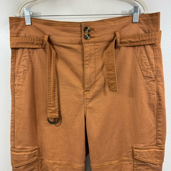 CABI #6045 Paper Bag Cargo Pants Burnt Orange Belted Straight Leg Women's Sz 10 - Picture 4 of 11